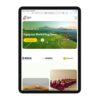 Website Bumdes (Badan Usaha Milik Desa)